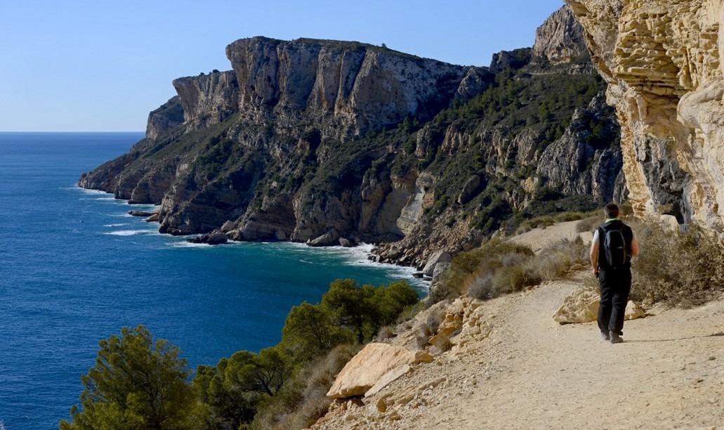  Alicante #15