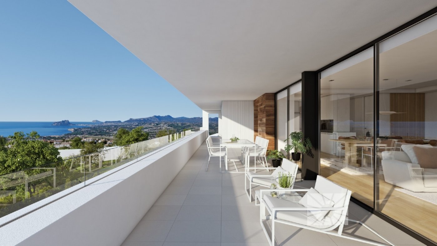  Alicante #4