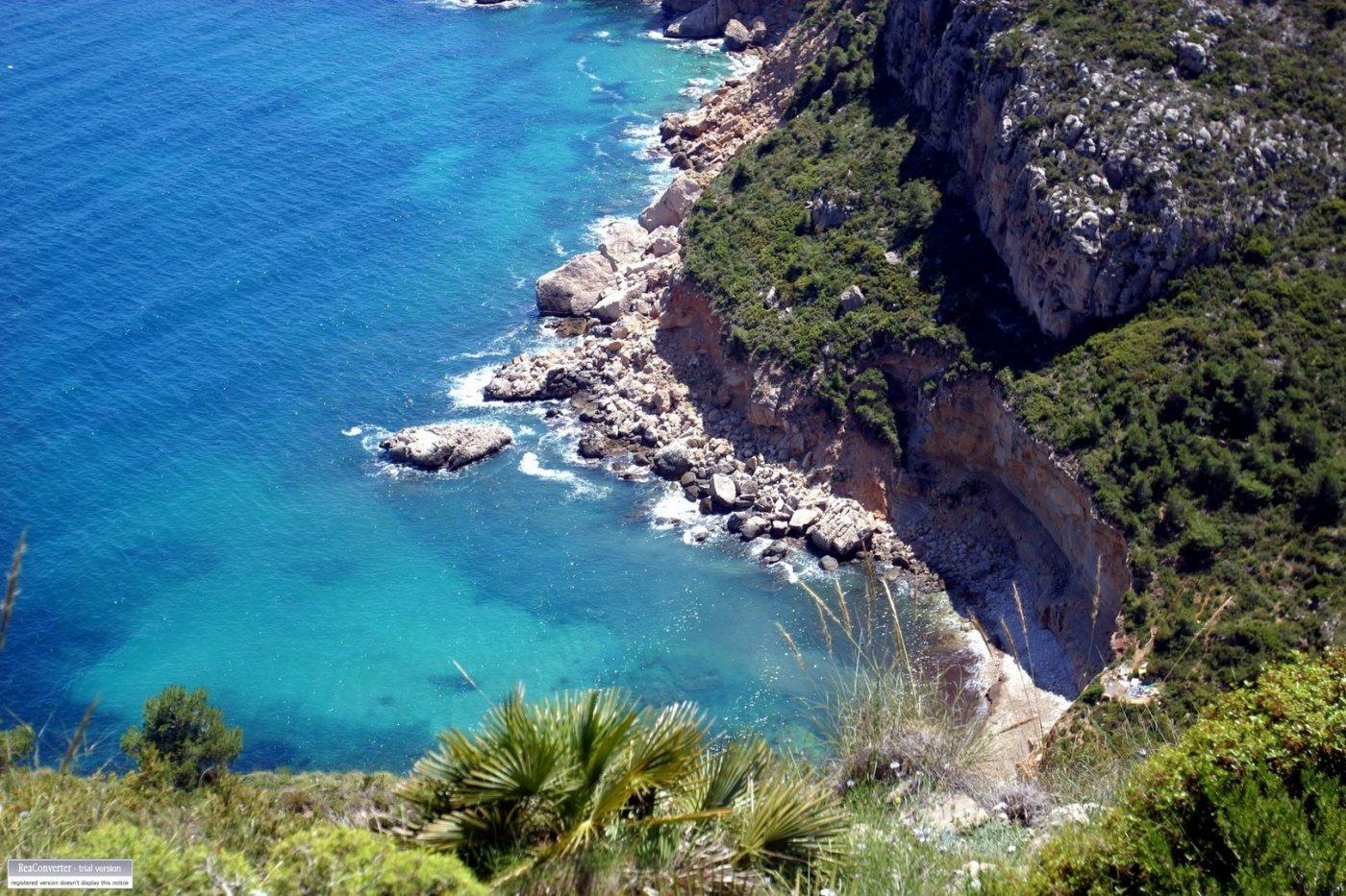  Alicante #11