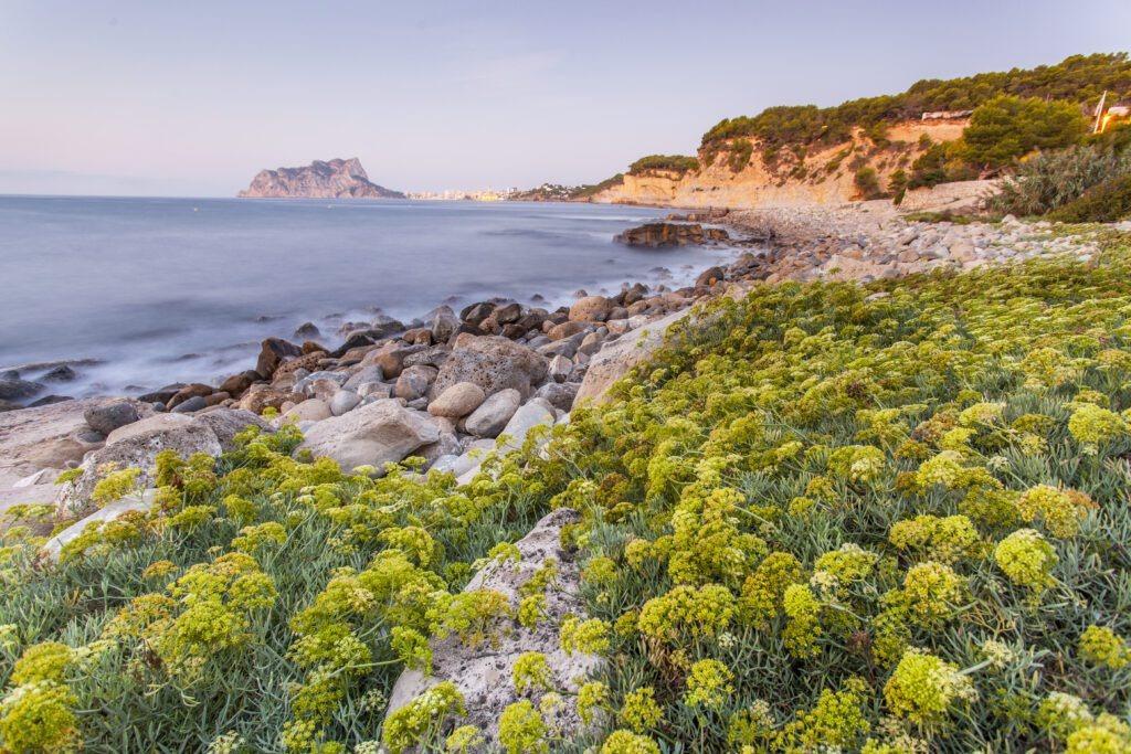  Alicante #9