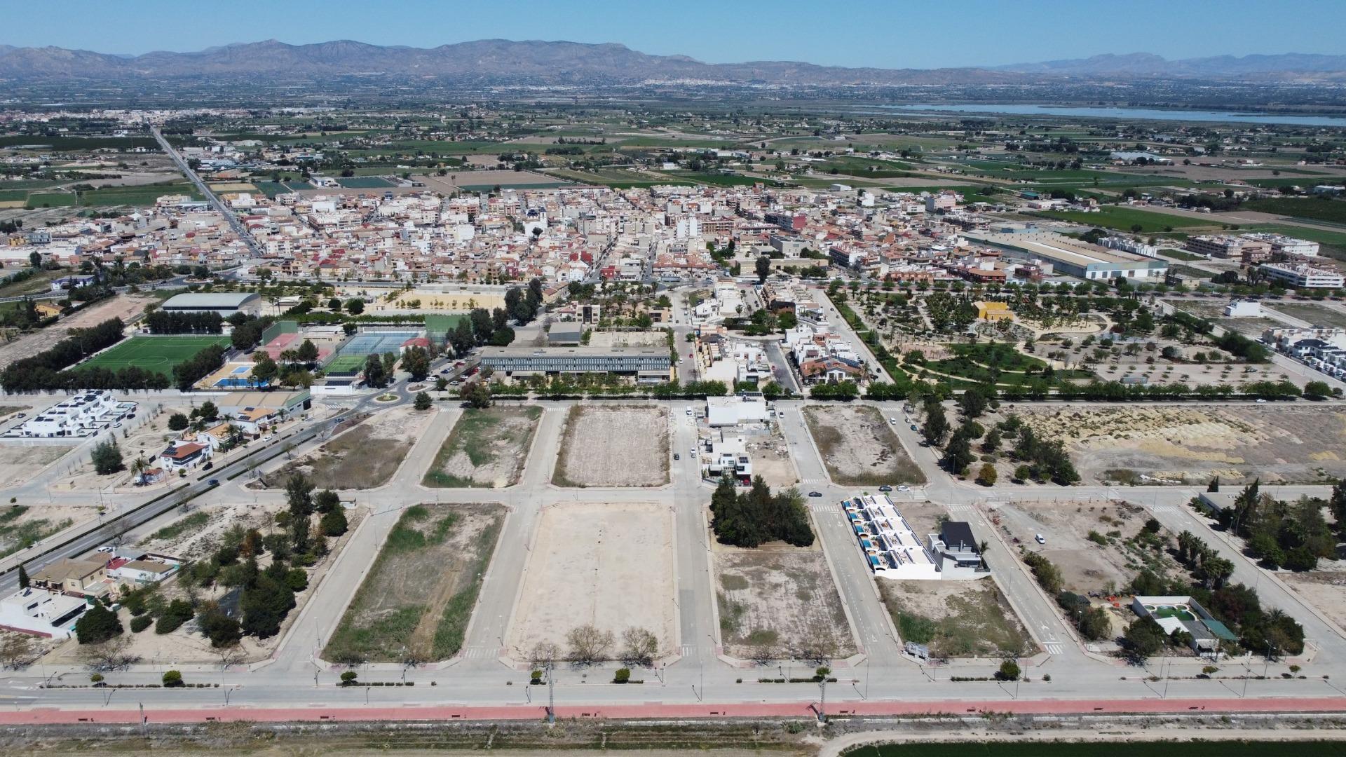  Dolores #36
