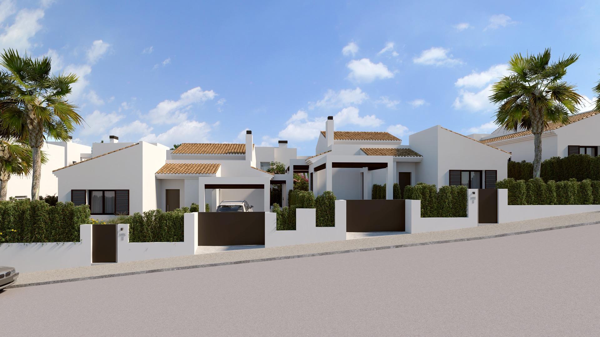  Algorfa #5