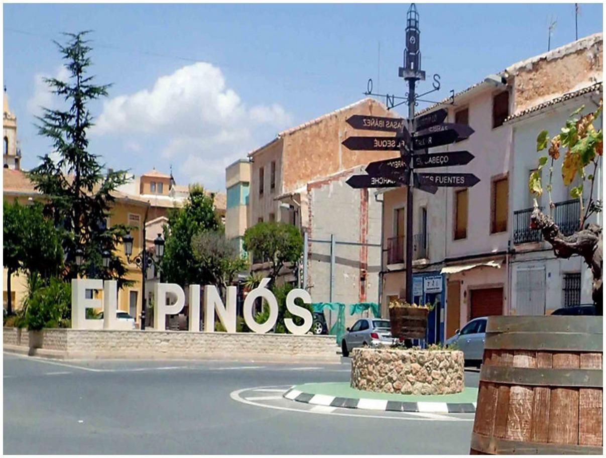  Alicante #35