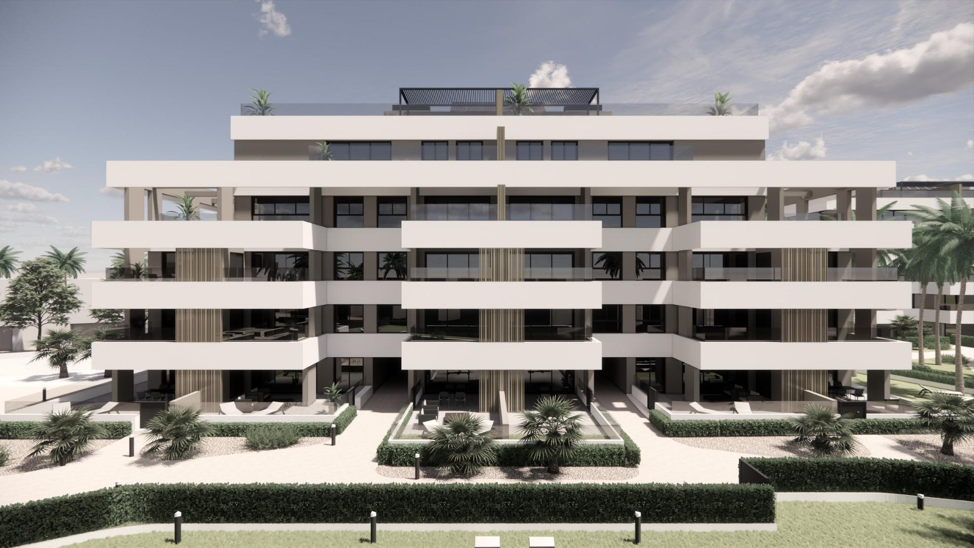  Torre - Pacheco #6