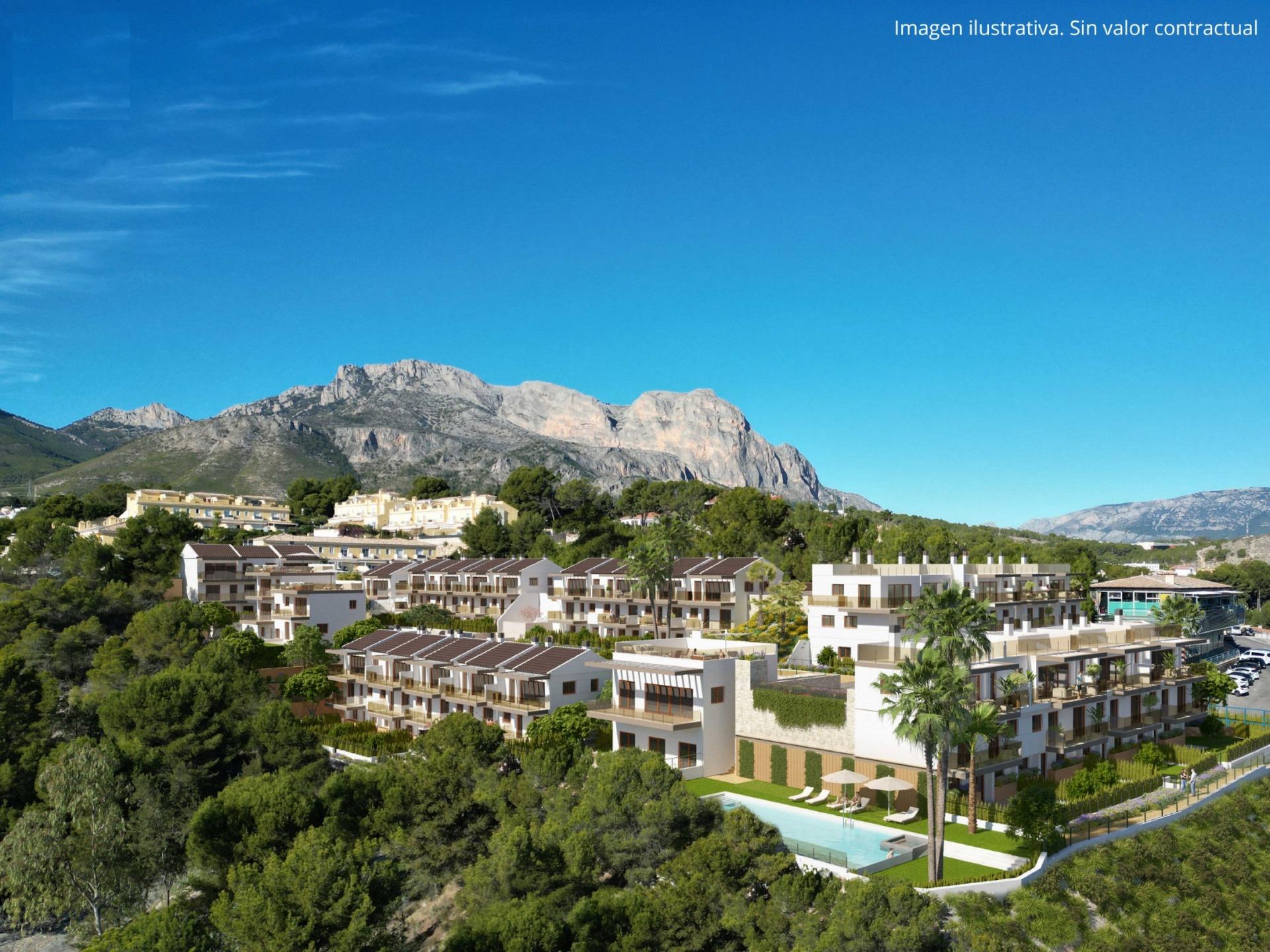  Alicante #15