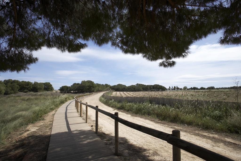 Nieruchomość w Torrevieja #6