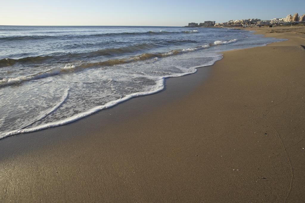 Nieruchomość w Torrevieja #10