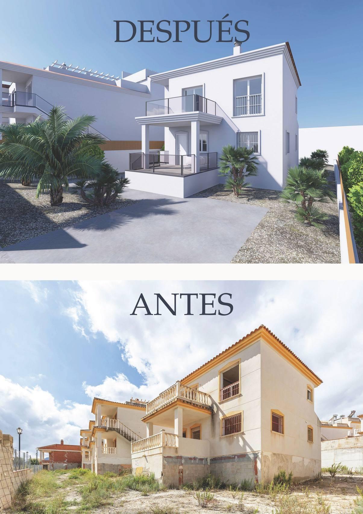  Alicante #8