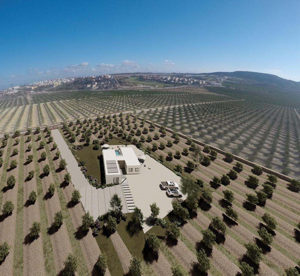  Algorfa #2
