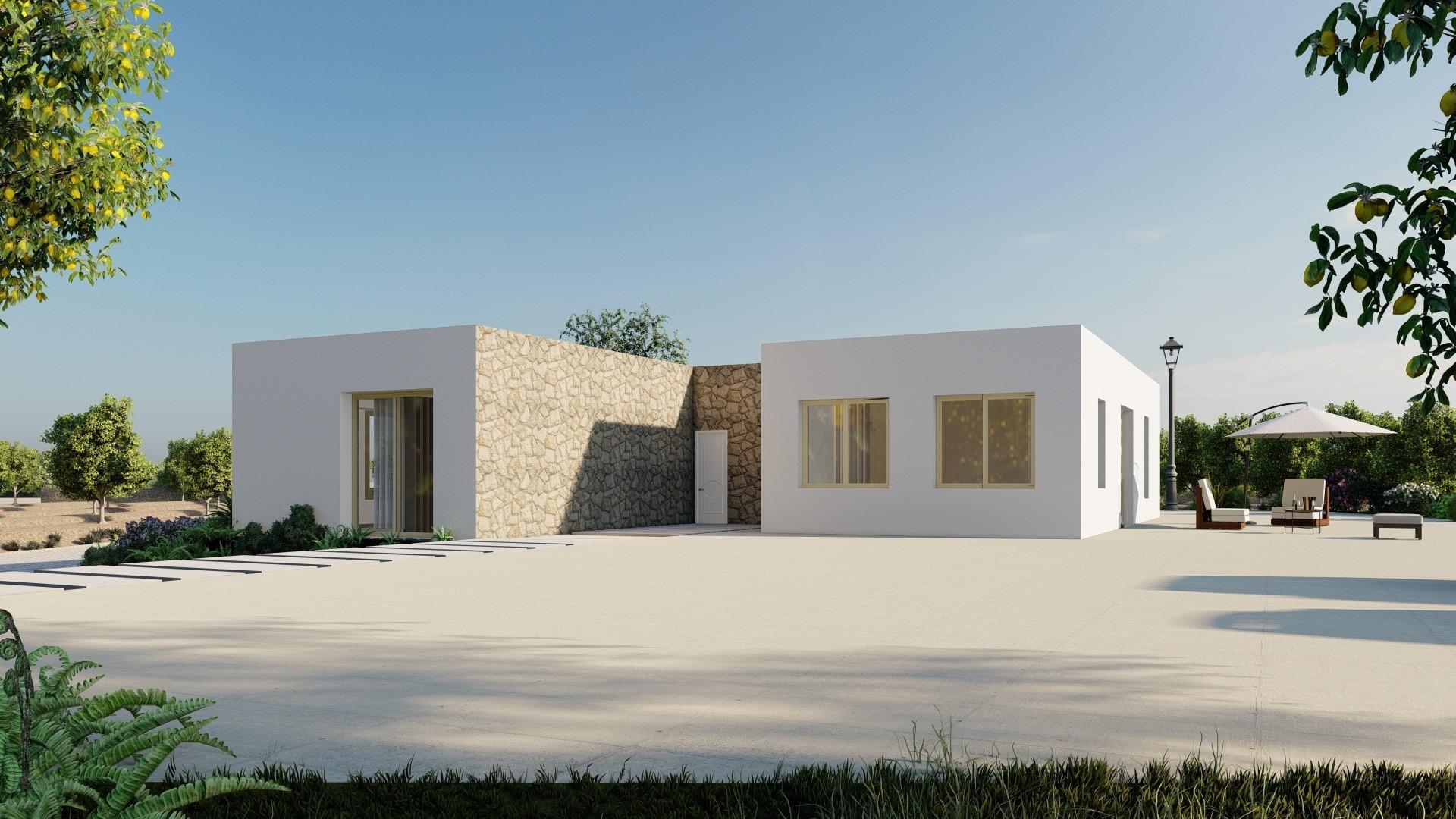  Algorfa #7