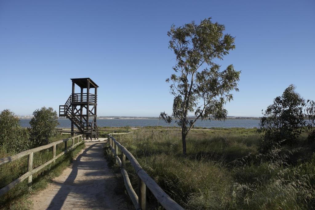  Torrevieja #8