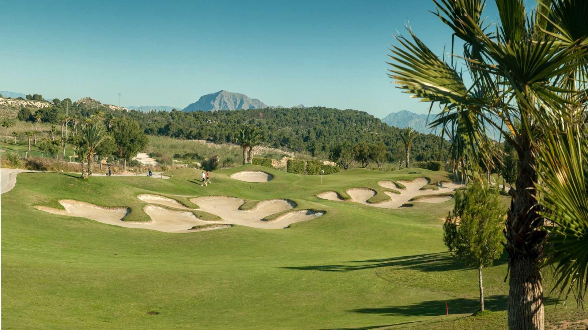 Orihuela #7