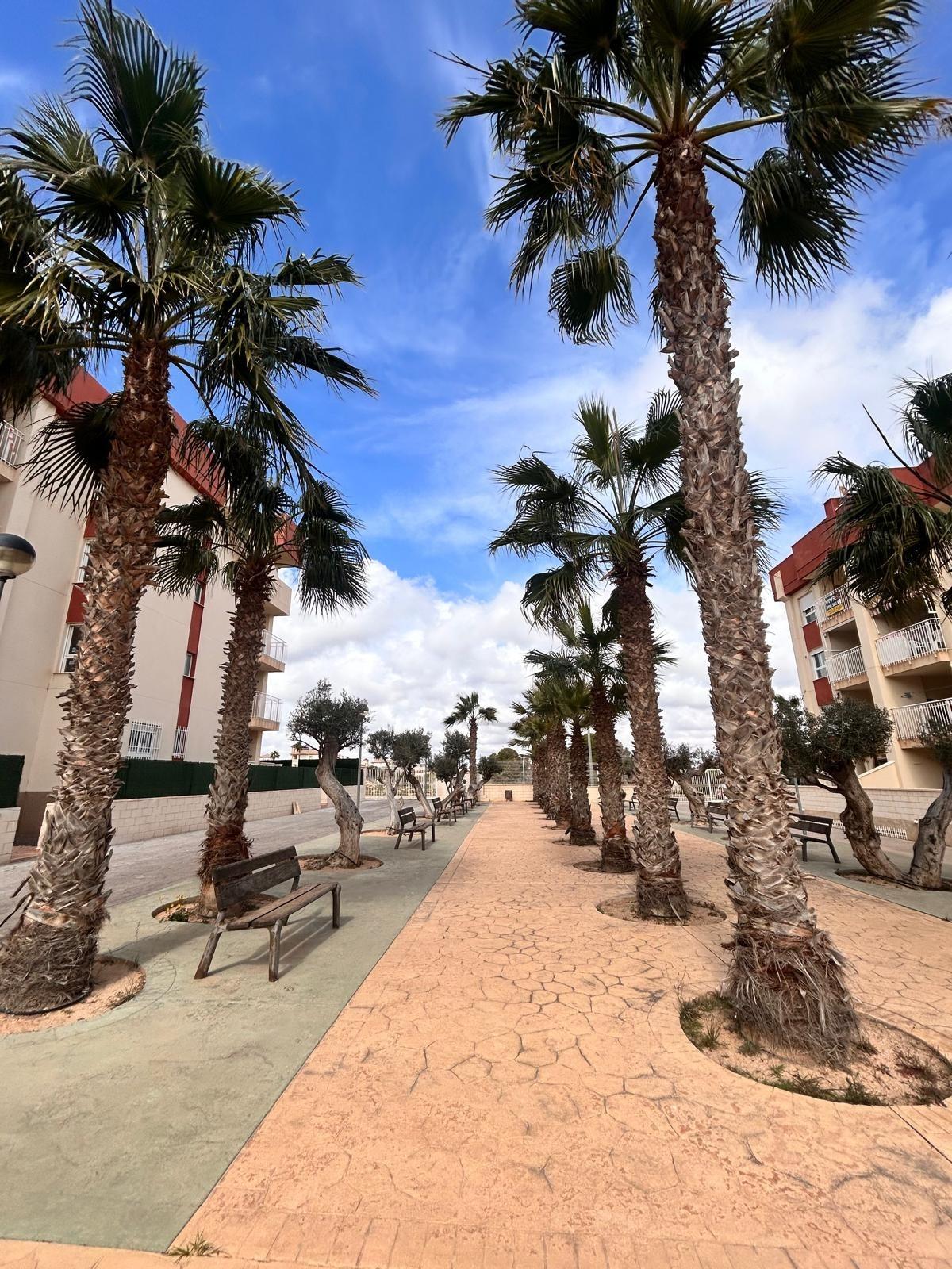  Orihuela Costa #8