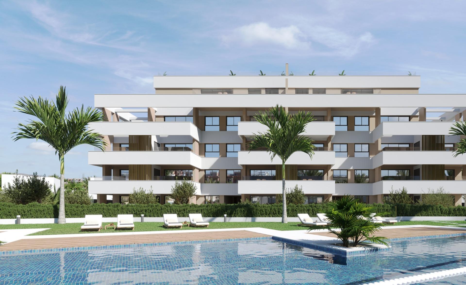  Torre - Pacheco #2