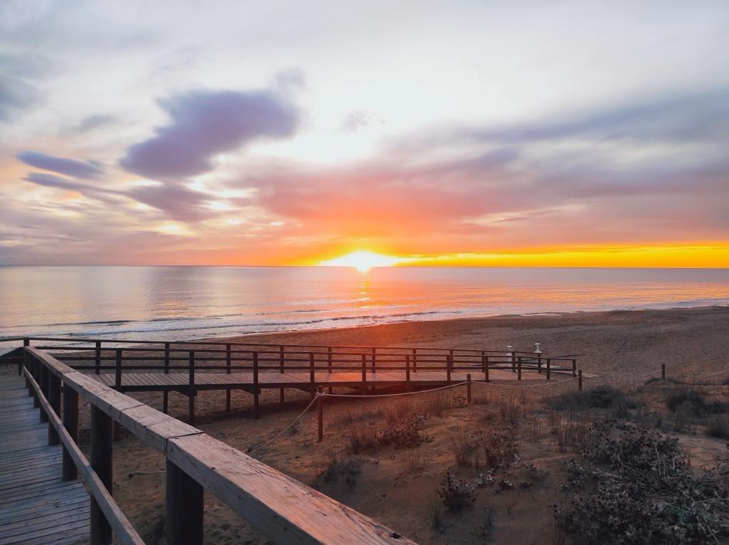  Torrevieja #18