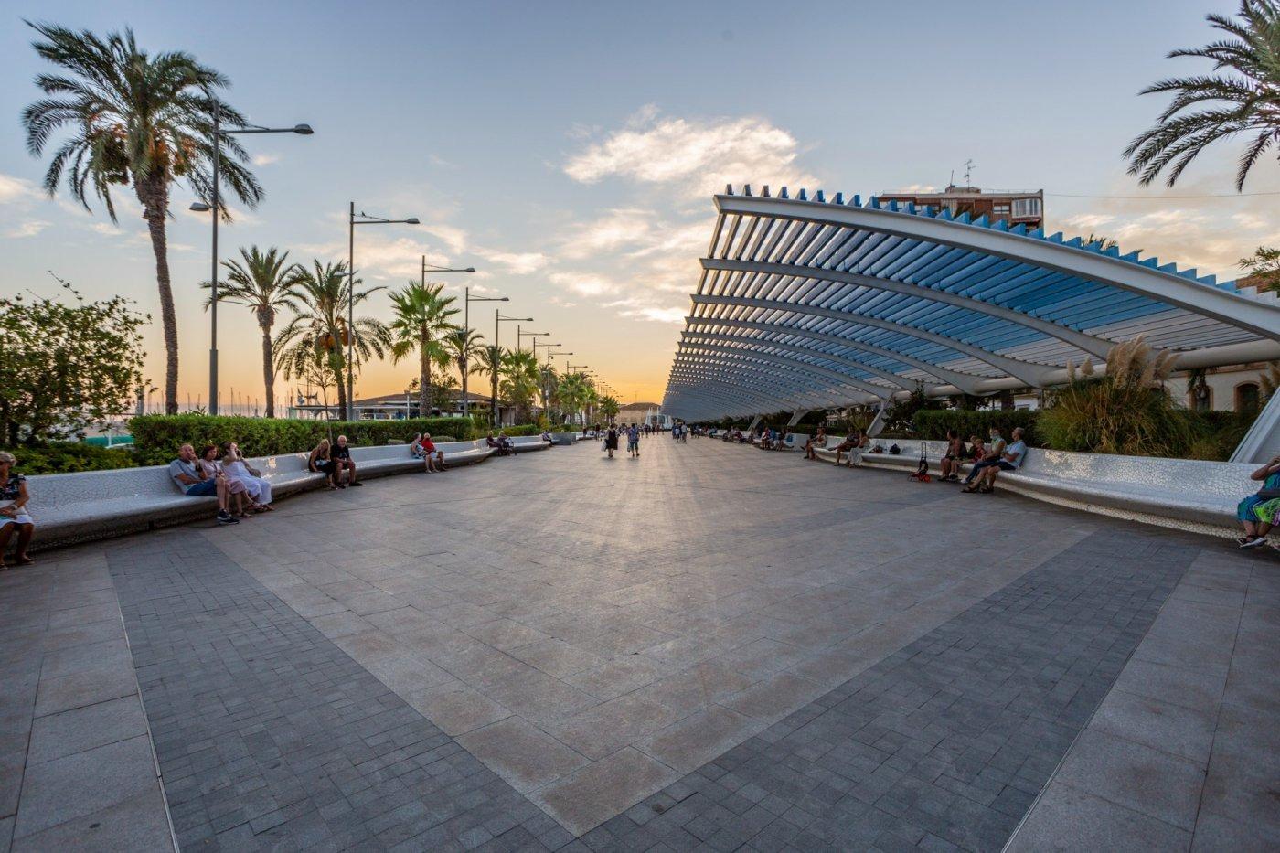 Kawalerka w Torrevieja #12