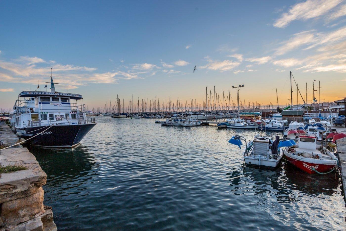 Kawalerka w Torrevieja #13