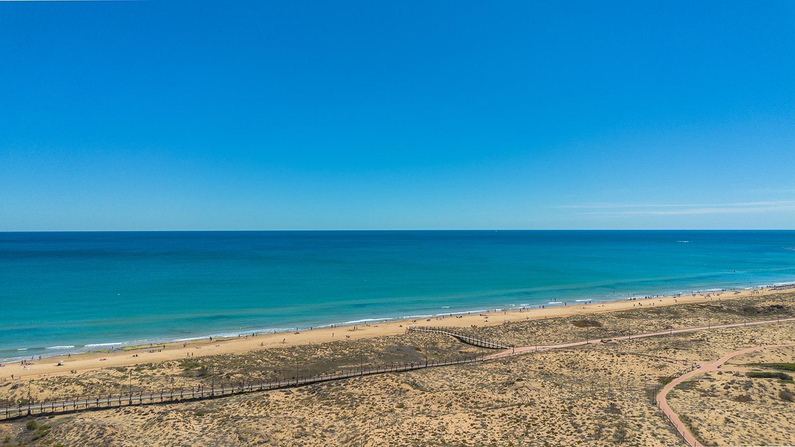 Lokal użytkowy w Torrevieja #21