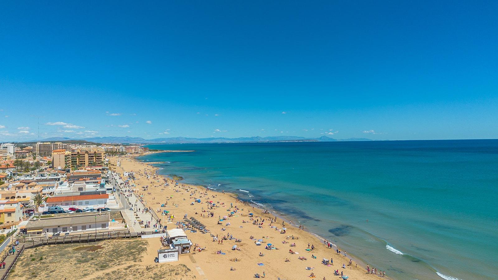 Lokal użytkowy w Torrevieja #22