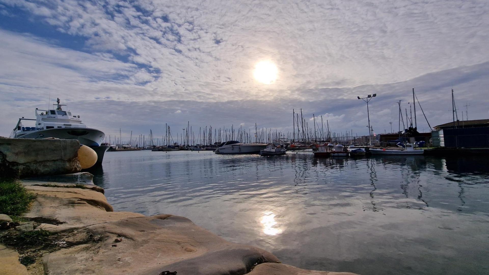  Torrevieja #35