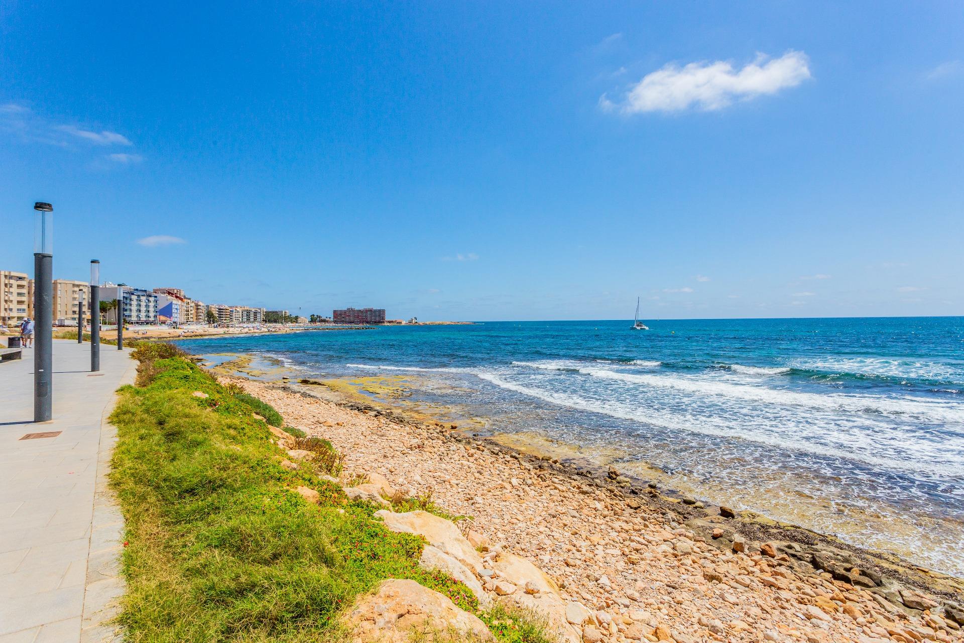  Torrevieja #41