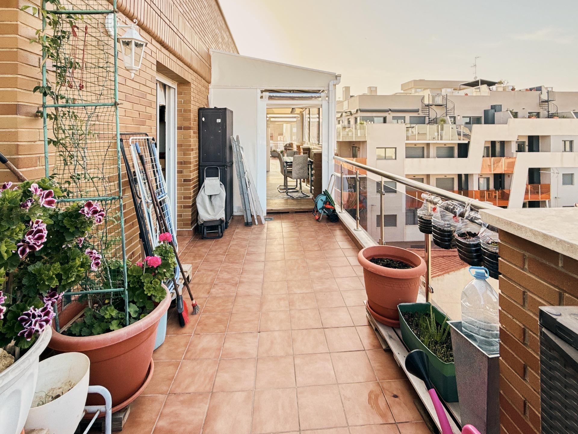  Torrevieja #9