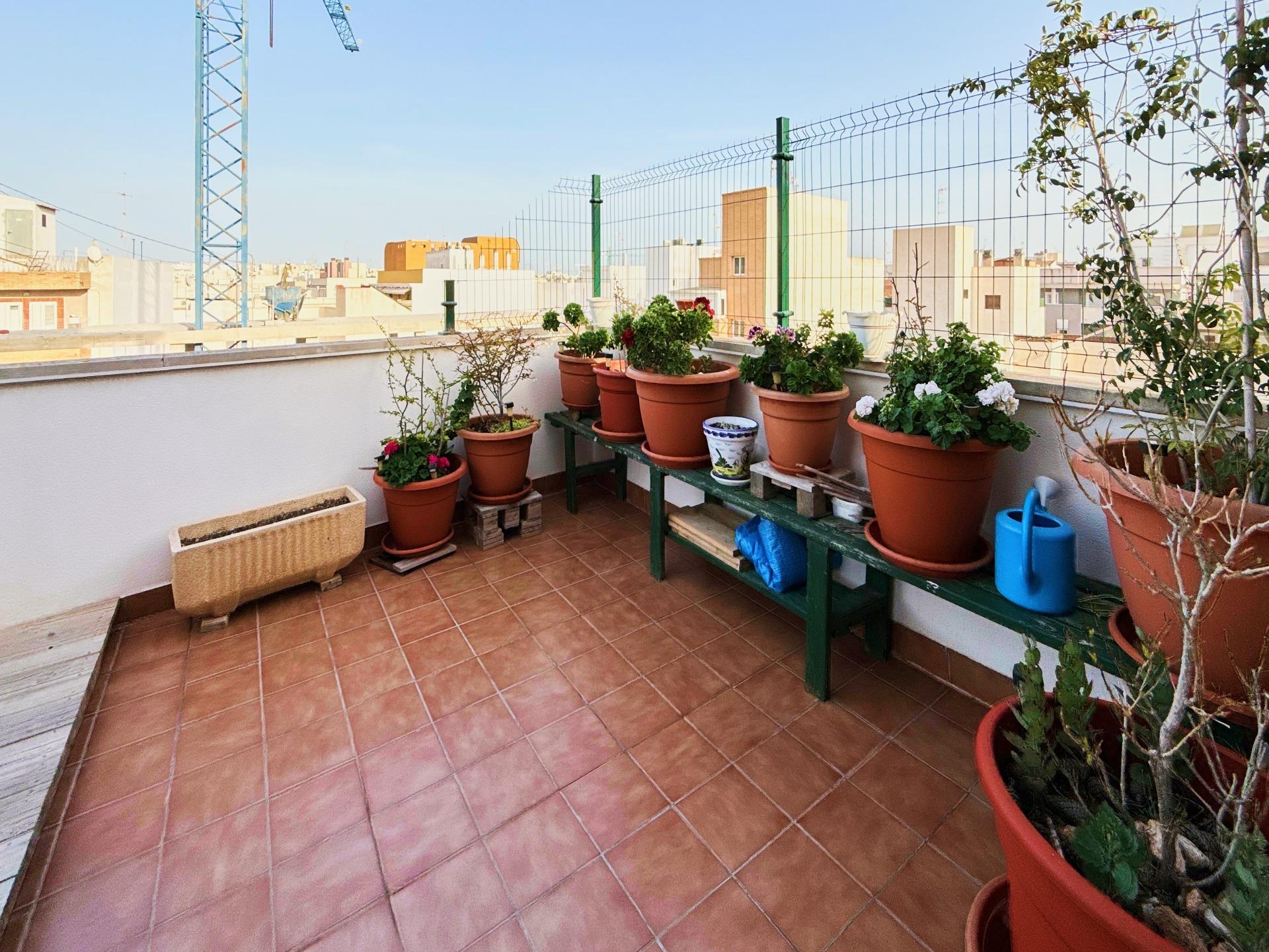  Torrevieja #17