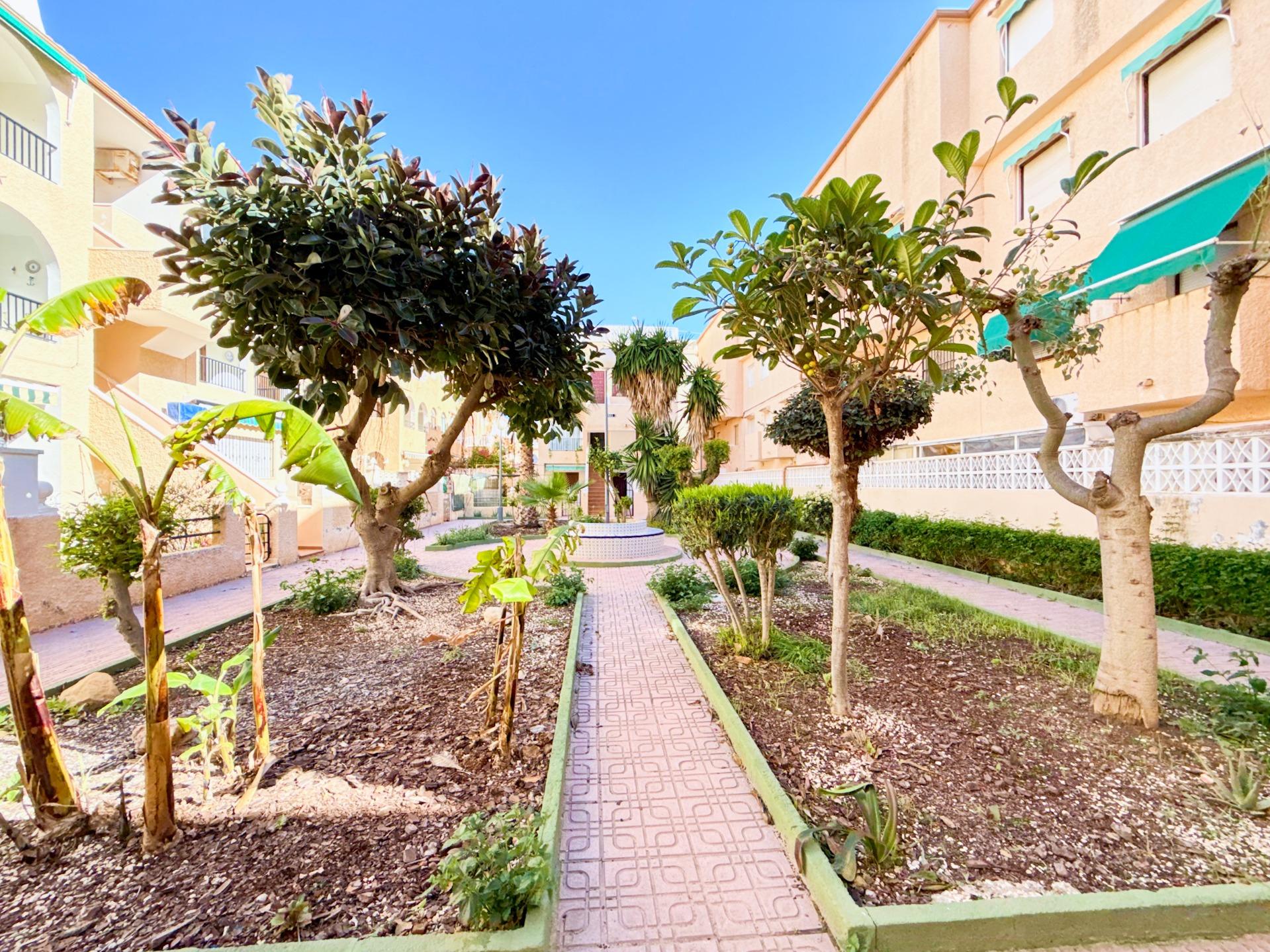 Bungalow w Torrevieja #30