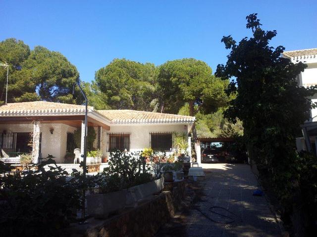  Orihuela Costa - Campoamor #8